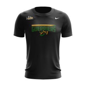 Nike Tshirt Dri-Fit Manche courte (Noir)