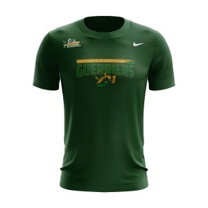 Nike Tshirt Dri-Fit Manche courte (Vert)