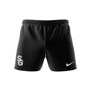 Nike Team DF Flex Woven Short 7¨ (Noir)